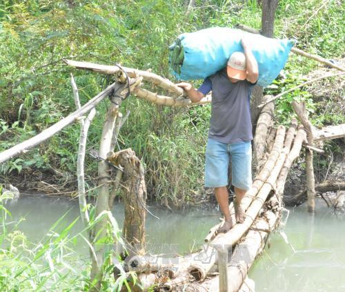 Người dân vận chuyển bằng cầu tạm bắc qua suối Nước Đục. Ảnh: Nguyễn Tuấn Anh – TTXVN