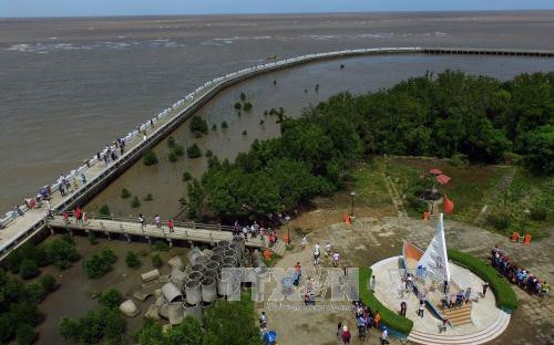 Khu Công viên văn hóa – Du lịch Mũi Cà Mau. Ảnh: An Hiếu - TTXVN