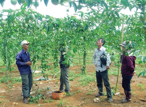 Ông Hiều (bên trái) đang trao đổi kinh nghiệm với người dân quanh vùng