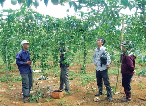 Ông Hiều (bên trái) đang trao đổi kinh nghiệm với người dân quanh vùng