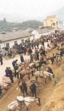 Chợ phiên, nơi giao lưu trao đổi hàng hoá, gặp gỡ của anh em, bạn bè trai gái, là một sinh hoạt đặc trưng của người Mông ở vùng cao biên giới. Người ta thồ trên lưng ngựa đến chợ đủ mọi thứ hàng hoá như: ngô, rau, củi... Ðàn ngựa thồ được quần tụ trên bãi để ngựa ở chợ Bắc Hà (Lao Cai), Ðồng Văn (Hà Giang) là nét văn hoá đẹp ở vùng cao. Chợ phiên, nơi giao lưu trao đổi hàng hoá, gặp gỡ của anh em, bạn bè trai gái, là một sinh hoạt đặc trưng của người Mông ở vùng cao biên giới. Người ta thồ trên lưng ngựa đến chợ đủ mọi thứ hàng hoá như: ngô, rau, củi... Ðàn ngựa thồ được quần tụ trên bãi để ngựa ở chợ Bắc Hà (Lao Cai), Ðồng Văn (Hà Giang) là nét văn hoá đẹp ở vùng cao.