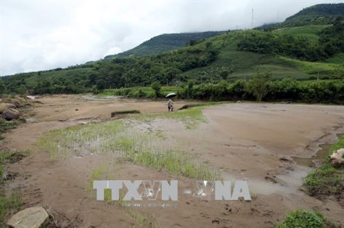 Sau trận lũ, những cánh đồng bị bồi lấp một lớp cát sỏi. Ảnh: Phan Tuấn Anh – TTXVN Sau trận lũ, những cánh đồng bị bồi lấp một lớp cát sỏi. Ảnh: Phan Tuấn Anh – TTXVN