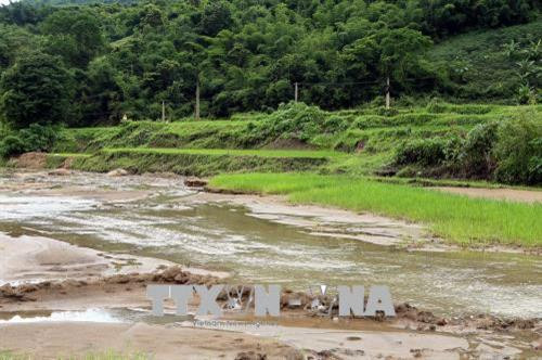 Những mảnh ruộng còn sót lại sau trận một trận lũ tại bản Na Sang 2, huyện Điện Biên. Ảnh: Phan Tuấn Anh - TTXVN Những mảnh ruộng còn sót lại sau trận một trận lũ tại bản Na Sang 2, huyện Điện Biên. Ảnh: Phan Tuấn Anh - TTXVN
