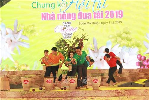 Phần thi nhà nông liên kết hái cà phê tại đêm chung kết. Ảnh: Phạm Cường-TTXVN Phần thi nhà nông liên kết hái cà phê tại đêm chung kết. Ảnh: Phạm Cường-TTXVN