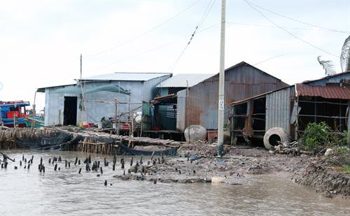 Sạt lở vào đến tận nhà dân tại ấp Kim Quy B, xã Vân Khánh, huyện An Minh. Ảnh: Lê Huy Hải - TTXVN Sạt lở vào đến tận nhà dân tại ấp Kim Quy B, xã Vân Khánh, huyện An Minh. Ảnh: Lê Huy Hải - TTXVN