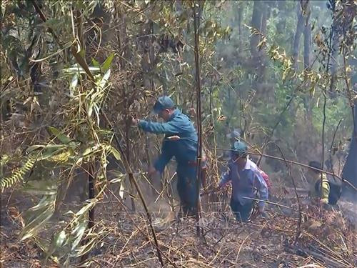 Gian nan phòng, chống cháy rừng trong mùa khô ở Sơn La ảnh 3 Gian nan phòng, chống cháy rừng trong mùa khô ở Sơn La ảnh 3