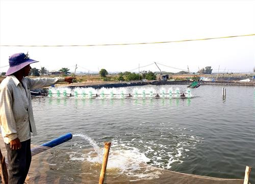 Ông Đoàn Văn Hùng ở thôn Bình An, xã Tam Hòa, huyện Nam Thành chuyển sang mô hình nuôi tôm trên ruộng muối. Ảnh: baoquangnam.vn Ông Đoàn Văn Hùng ở thôn Bình An, xã Tam Hòa, huyện Nam Thành chuyển sang mô hình nuôi tôm trên ruộng muối. Ảnh: baoquangnam.vn