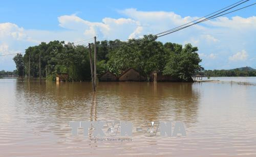 Một khu dân cư tại xã Thanh Xuân, huyện Thanh Chương, tỉnh Nghệ An ngập trong lũ. Ảnh: Nguyễn Oanh -TTXVN.