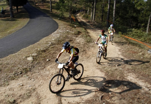 Các tay đua tranh tài ở chặng đua cuối trong rừng ở thung lũng Tình yêu, thành phố Đà Lạt. Ảnh: Đặng Tuấn-TTXVN Các tay đua tranh tài ở chặng đua cuối trong rừng ở thung lũng Tình yêu, thành phố Đà Lạt. Ảnh: Đặng Tuấn-TTXVN
