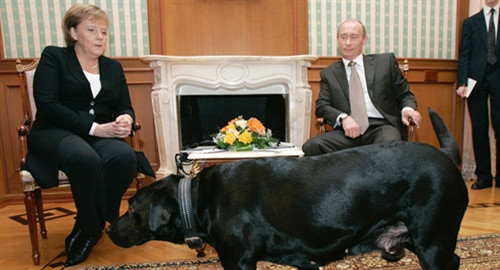 Những điều kỳ thú xảy ra ở dinh thự Tổng thống Nga tại Sochi ảnh 2