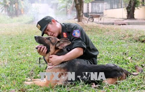 Huấn luyện viên chăm sóc chú chó của mình. Ảnh: Quang Nhựt - TTXVN Huấn luyện viên chăm sóc chú chó của mình. Ảnh: Quang Nhựt - TTXVN