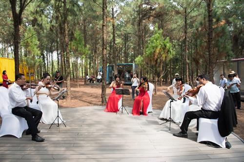 Biểu diễn nhạc giao hưởng tại Không gian nghệ thuật Flamingo. Ảnh: TTXVN phát Biểu diễn nhạc giao hưởng tại Không gian nghệ thuật Flamingo. Ảnh: TTXVN phát