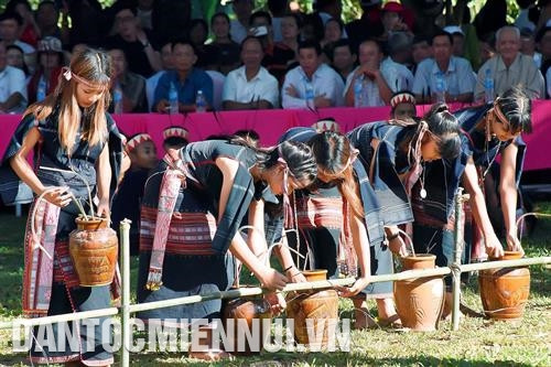 Ngoài trâu, lợn, gà, mỗi gia đình còn đóng góp 1 ché rượu, 1 cột gơng; tham gia dựng nêu, đánh chiêng trống…. Ảnh: Đức Thụy
