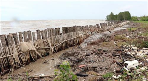 Kè tạm ngăn sạt lở bảo vệ đê quốc phòng khu vực bờ biển Tiểu Dừa, xã Vân Khánh Tây, huyện An Minh. Ảnh: Lê Huy Hải - TTXVN Kè tạm ngăn sạt lở bảo vệ đê quốc phòng khu vực bờ biển Tiểu Dừa, xã Vân Khánh Tây, huyện An Minh. Ảnh: Lê Huy Hải - TTXVN