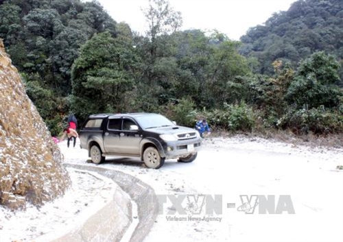 Nhiều địa phương thiệt hại vì giá rét ảnh 1