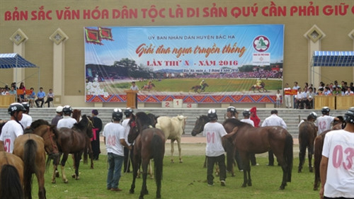 Đua ngựa thồ trên cao nguyên trắng ảnh 2