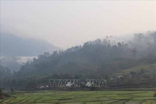 Rừng Nà Hẩu ẩn hiện dưới sương mờ. Ảnh: Việt Dũng – TTXVN