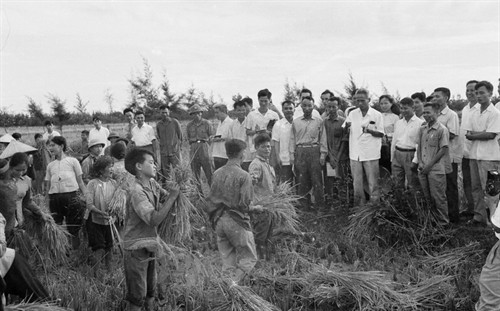 Thủ tướng Phạm Văn Đồng thị sát đồng ruộng của nhân dân huyện Đan Phượng, tỉnh Hà Tây (7/1971). Ảnh: Văn Lượng- TTXVN
