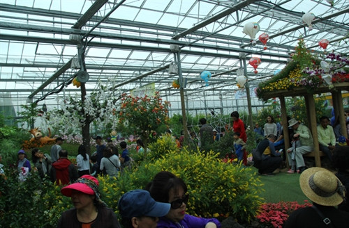 Lễ hội bướm Hampyeong thu hút du khách nhí ảnh 2