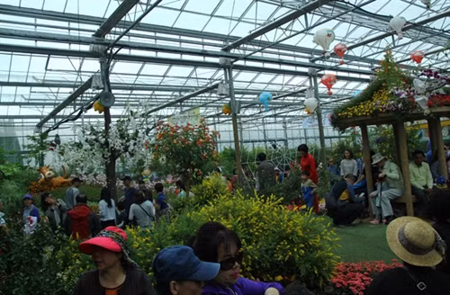 Lễ hội bướm Hampyeong thu hút du khách nhí ảnh 2