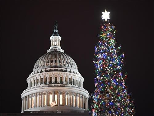 Cây thông Noel tại Đồi Capitol, Washington D.C., Mỹ Ảnh: THX/ TTXVN Cây thông Noel tại Đồi Capitol, Washington D.C., Mỹ Ảnh: THX/ TTXVN