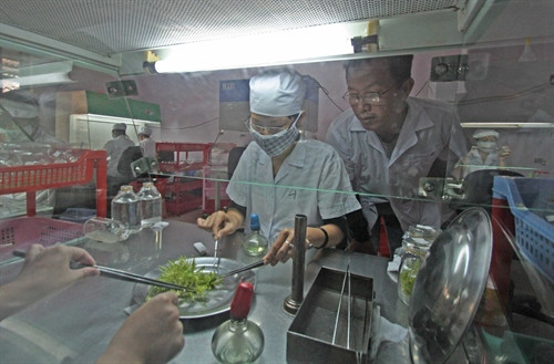 Tỉnh Lâm Đồng hiện có 47 cơ sở sản xuất giống invitro với quy mô 27,24 triệu cây giống/năm