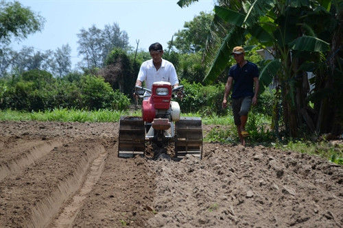 Ông Huỳnh Tiển (áo trắng) sử dụng máy lên luống trên thực địa. Ông Huỳnh Tiển (áo trắng) sử dụng máy lên luống trên thực địa.