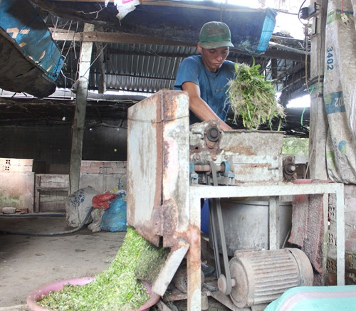 Anh Đặng Võ Nhật Trường đang vận hành máy cắt rau do anh chế tạo. Anh Đặng Võ Nhật Trường đang vận hành máy cắt rau do anh chế tạo.