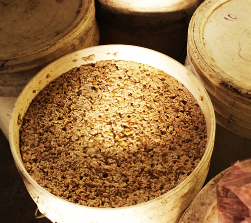 Một trong những bí quyết để nấu rượu Bàu Đá của người dân xóm Tân Long là công đoạn ủ gạo đã được lên men Một trong những bí quyết để nấu rượu Bàu Đá của người dân xóm Tân Long là công đoạn ủ gạo đã được lên men