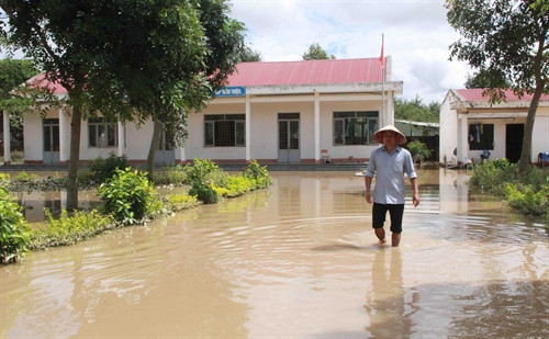 Trường Tiểu học Y Ngông phân hiệu buôn Krông, xã Dur Kmăl bị ngập nước 6 đến 7cm. Ảnh: Phạm Cường-TTXVN Trường Tiểu học Y Ngông phân hiệu buôn Krông, xã Dur Kmăl bị ngập nước 6 đến 7cm. Ảnh: Phạm Cường-TTXVN