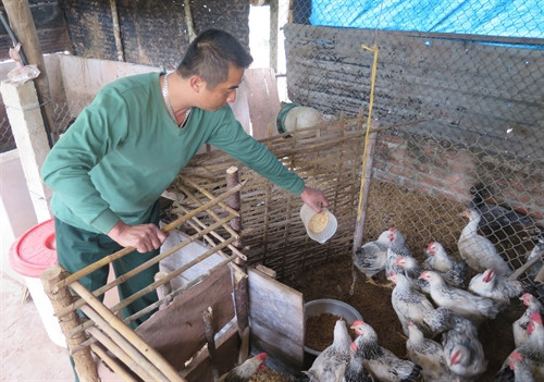 : Cán bộ, chiến sĩ Đội sản xuất và xây dựng cơ sở chính trị số 7 chăm lo sản xuất. : Cán bộ, chiến sĩ Đội sản xuất và xây dựng cơ sở chính trị số 7 chăm lo sản xuất.