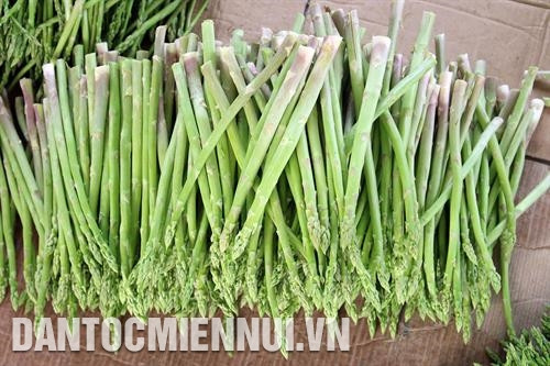 Sản phẩm măng tây xanh mang lại thu nhập ổn định cho nông dân tỉnh Ninh Thuận. Ảnh: Công Thử Ứng dụng khoa học - kỹ thuật vào trồng măng tây xanh giúp nông dân Ninh Thuận giảm đáng kể công chăm sóc, góp phần nâng cao năng suất cây trồng. Ảnh: Tú Quỳnh Măng tây xanh được nghiên cứu, chế biến thành thực phẩm chức năng. Ảnh: Công Thử Sản phẩm măng tây xanh mang lại thu nhập ổn định cho nông dân tỉnh Ninh Thuận. Ảnh: Công Thử Ứng dụng khoa học - kỹ thuật vào trồng măng tây xanh giúp nông dân Ninh Thuận giảm đáng kể công chăm sóc, góp phần nâng cao năng suất cây trồng. Ảnh: Tú Quỳnh Măng tây xanh được nghiên cứu, chế biến thành thực phẩm chức năng. Ảnh: Công Thử