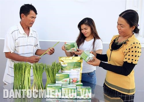 Sản phẩm măng tây xanh mang lại thu nhập ổn định cho nông dân tỉnh Ninh Thuận. Ảnh: Công Thử Ứng dụng khoa học - kỹ thuật vào trồng măng tây xanh giúp nông dân Ninh Thuận giảm đáng kể công chăm sóc, góp phần nâng cao năng suất cây trồng. Ảnh: Tú Quỳnh Măng tây xanh được nghiên cứu, chế biến thành thực phẩm chức năng. Ảnh: Công Thử Sản phẩm măng tây xanh mang lại thu nhập ổn định cho nông dân tỉnh Ninh Thuận. Ảnh: Công Thử Ứng dụng khoa học - kỹ thuật vào trồng măng tây xanh giúp nông dân Ninh Thuận giảm đáng kể công chăm sóc, góp phần nâng cao năng suất cây trồng. Ảnh: Tú Quỳnh Măng tây xanh được nghiên cứu, chế biến thành thực phẩm chức năng. Ảnh: Công Thử