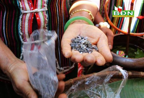 Tro từ thân cây chuối được người Mạ dùng làm muối chấm, gia vị Tro từ thân cây chuối được người Mạ dùng làm muối chấm, gia vị