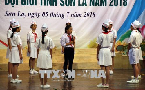 Các đội thi tham dự hội thi chỉ huy Đội giỏi. Ảnh: Diệp Anh - TTXVN Các đội thi tham dự hội thi chỉ huy Đội giỏi. Ảnh: Diệp Anh - TTXVN