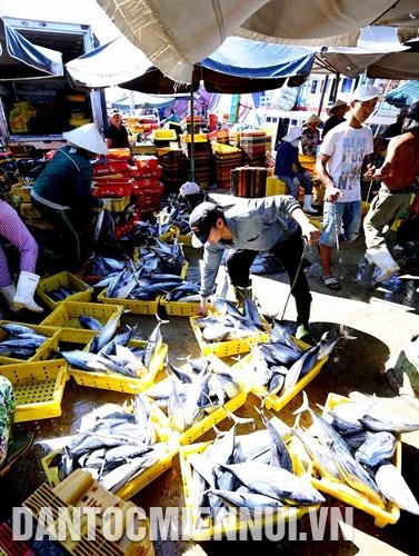 Lĩnh vực khai thác và chế biến hải sản tăng 50% trong 10 năm từ 2,07 triệu tấn năm 2007 lên 3,19 triệu tấn năm 2017. Công nghiệp chế biến thủy sản của Việt Nam hiện thuộc loại khá trên thế giới, có khoảng 500 cơ sở đạt tiêu chuẩn xuất khẩu vào các thị trường Nhật Bản, Mỹ, EU. Ảnh: Vũ Sinh