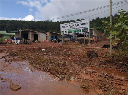 Nước thải do cơ sở chế biến chanh dây của Công ty Thuận Phát Đắk Nông xả ra Tỉnh lộ 1, đoạn qua xã Quảng Tân, huyện Tuy Đức, tỉnh Đắk Nông. Ảnh: TTXVN Nước thải do cơ sở chế biến chanh dây của Công ty Thuận Phát Đắk Nông xả ra Tỉnh lộ 1, đoạn qua xã Quảng Tân, huyện Tuy Đức, tỉnh Đắk Nông. Ảnh: TTXVN