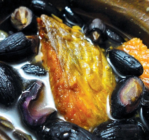 Thuốc hay từ quả trám ảnh 4