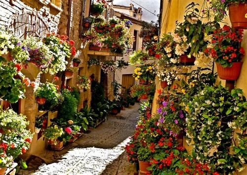 1. Đường phố ở thị trấn Spello Spello là một thị trấn nhỏ dễ thương với các kiến trúc thời Trung cổ và Phục hưng. Những hẻm nhỏ lát đá sỏi hoặc những cây cầu bằng đá nhỏ. 2. Galuppi, Burano, Ý Burano là một hòn đảo nhỏ nằm trong đầm phá Venice, nơi nổi tiếng với những ngôi nhà đủ màu sắc! 3. Corso Santa Anastasia, Verona, Ý Trong mỗi thị trấn lớn nhỏ, bạn có thể tìm thấy những con đường có bán đủ thứ và làm bạn kinh ngạc bởi kiến trúc quá đẹp của chúng. 4. Dolceacqua, Liguria. Con đường ở Dolceacqua này là một ví dụ điển hình của đường phố Ý, vì nó có sự pha trộn hoàn hảo các chi tiết mộc mạc. 5. Amalfi, Campania Amalfi là một điểm đến rất phổ biến, đặc biệt vào mùa hè nhờ có bờ biển dài và những con đường cực kỳ đẹp. 6. Đường Monte Pertica ở Alberobello, tỉnh Bari Đường Monte Pertica không có gì ngoài sự thôi miên, mọi thứ đều khiến bạn không thể rời mắt được. 7. Sorno, Tuscany Sorno sẽ là một con đường nữa ở Ý được trang trí bằng hoa và chậu hoa. Chúng sẽ làm bạn phải mỉm cười thích thú. 8. Molfetta, Puglia Con đường ở Molfetta là sự kết hợp giữa hiện đại và mộc mạc làm say đắm bất kỳ du khách nào. 9. Caruggi, Liguria Đường phố ở Caruggi ẩn rất nhiều cầu thang thách thức bất kỳ du khách nào. Dù vậy dừng lo lắng vì có rất nhiều quán cà phê để bạn dừng chân khi cần. 10. Bassiano, Lazio Bassiano là một khu phố nhỏ với những bức tường đá tạo cảm giác mát rượi. 1. Đường phố ở thị trấn Spello Spello là một thị trấn nhỏ dễ thương với các kiến trúc thời Trung cổ và Phục hưng. Những hẻm nhỏ lát đá sỏi hoặc những cây cầu bằng đá nhỏ. 2. Galuppi, Burano, Ý Burano là một hòn đảo nhỏ nằm trong đầm phá Venice, nơi nổi tiếng với những ngôi nhà đủ màu sắc! 3. Corso Santa Anastasia, Verona, Ý Trong mỗi thị trấn lớn nhỏ, bạn có thể tìm thấy những con đường có bán đủ thứ và làm bạn kinh ngạc bởi kiến trúc quá đẹp của chúng. 4. Dolceacqua, Liguria. Con đường ở Dolceacqua này là một ví dụ điển hình của đường phố Ý, vì nó có sự pha trộn hoàn hảo các chi tiết mộc mạc. 5. Amalfi, Campania Amalfi là một điểm đến rất phổ biến, đặc biệt vào mùa hè nhờ có bờ biển dài và những con đường cực kỳ đẹp. 6. Đường Monte Pertica ở Alberobello, tỉnh Bari Đường Monte Pertica không có gì ngoài sự thôi miên, mọi thứ đều khiến bạn không thể rời mắt được. 7. Sorno, Tuscany Sorno sẽ là một con đường nữa ở Ý được trang trí bằng hoa và chậu hoa. Chúng sẽ làm bạn phải mỉm cười thích thú. 8. Molfetta, Puglia Con đường ở Molfetta là sự kết hợp giữa hiện đại và mộc mạc làm say đắm bất kỳ du khách nào. 9. Caruggi, Liguria Đường phố ở Caruggi ẩn rất nhiều cầu thang thách thức bất kỳ du khách nào. Dù vậy dừng lo lắng vì có rất nhiều quán cà phê để bạn dừng chân khi cần. 10. Bassiano, Lazio Bassiano là một khu phố nhỏ với những bức tường đá tạo cảm giác mát rượi.