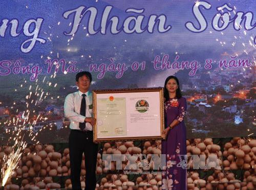 Đặc sắc Ngày hội "nhãn Sông Mã" năm 2017 ảnh 2