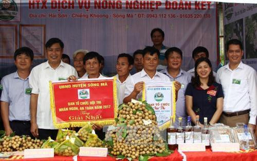 Đặc sắc Ngày hội "nhãn Sông Mã" năm 2017 ảnh 5