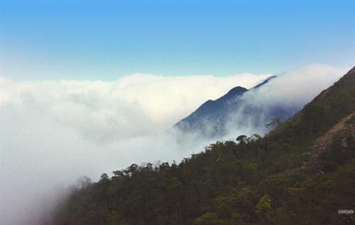 Cung đường tuần tra biên giới đẹp ngất ngây ở Quảng Ninh ảnh 13