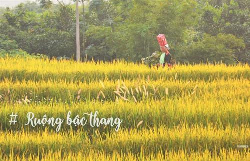 Cung đường tuần tra biên giới đẹp ngất ngây ở Quảng Ninh ảnh 10