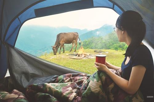 Cung đường tuần tra biên giới đẹp ngất ngây ở Quảng Ninh ảnh 14