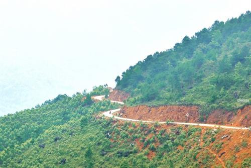 Cung đường tuần tra biên giới đẹp ngất ngây ở Quảng Ninh ảnh 3