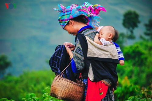 Giấc ngủ yên ả trên lưng mẹ.