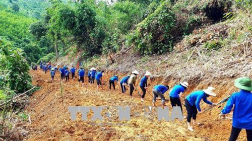 Đoàn niên thanh niên tiến hành chặt cây, mở lối, phóng tuyến “Mở đường lên bản Mọi”. Ảnh: Tá Chuyên - TTXVN Đoàn niên thanh niên tiến hành chặt cây, mở lối, phóng tuyến “Mở đường lên bản Mọi”. Ảnh: Tá Chuyên - TTXVN