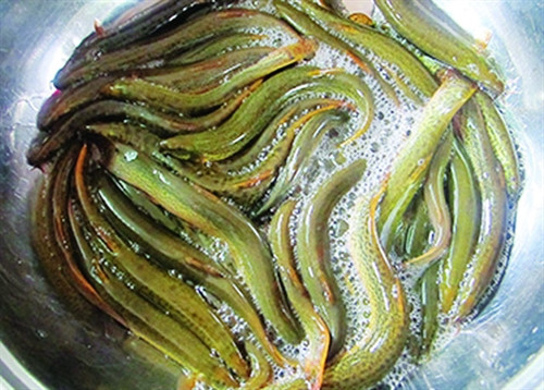 Ảnh minh họa - Nguồn ảnh: internet Ảnh minh họa - Nguồn ảnh: internet