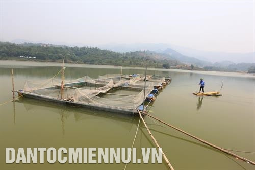 Nuôi cá lồng trên hồ Huổi Phạ đem lại thu nhập ổn định cho nhiều hộ đồng bào dân tộc ở thành phố Điện Biên Phủ. Ảnh: Hoàng Hà