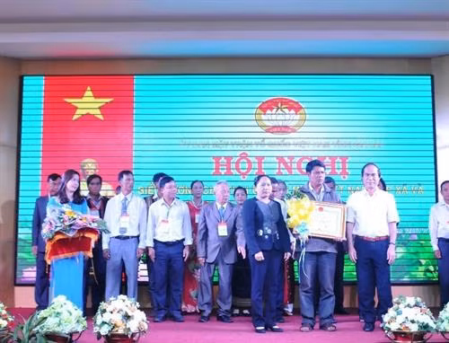 Lãnh đạo tỉnh Gia Lai tặng Bằng khen cho các cá nhân tiêu biểu. Ảnh: Nguyễn Hoài Nam - TTXVN Lãnh đạo tỉnh Gia Lai tặng Bằng khen cho các cá nhân tiêu biểu. Ảnh: Nguyễn Hoài Nam - TTXVN